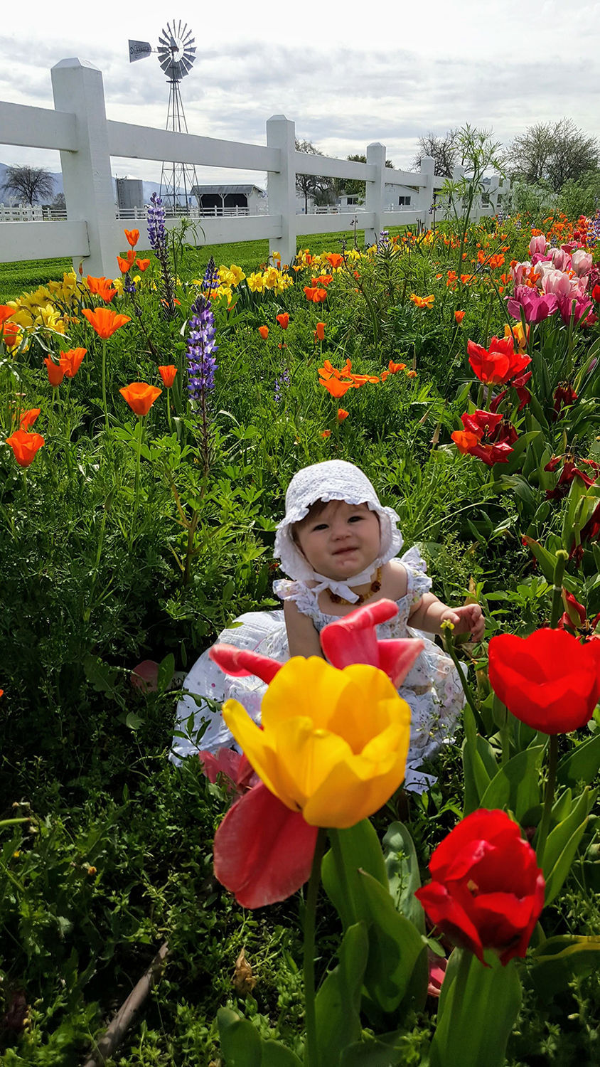 Faces and Places, April 21